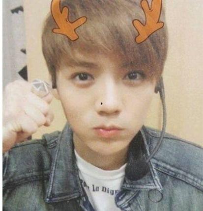 鹿晗的女朋友是谁照片,女友神秘照曝光，甜蜜瞬间引网友热议”